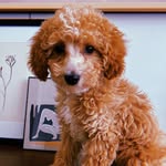 Léon Bloom - @mrleonbloom - Instagram