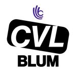 Cvl - Lycée Léon Blum - @cvl_lyceeblum - Instagram