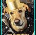 Leon Blum - Facebook
