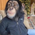 Leon - @leon.bonner08 - Instagram