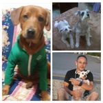 Diego Bonnet - @leonbonnet - Instagram