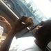 Leon Branch - Facebook