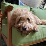 Leon Bromley - @bromley.leon - Instagram