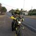 Lion Browman - Facebook