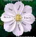 Leon-fernand Buckner - Facebook