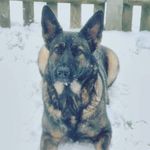 leon bullock - @lbullock9 - Instagram
