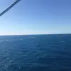 leonburrows19owes - @leonburrows19owes - TikTok