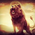 @leon.bussines - Instagram