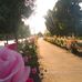 Avenida Leon Bustos - Facebook