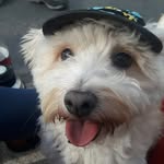 Flavia bustos - @leonbustos06 - Instagram