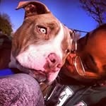 Leon Cain - @cain_leon - Instagram