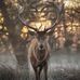 Leon Cain - Facebook