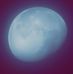 Caine Raven Leon Brower - Facebook