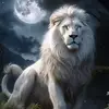 Leon Camacho - @leon.camacho7 - TikTok