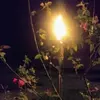 leoncanfield226 - @leoncanfield226 - TikTok