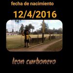 Leon Carbonero - @leoncarbonero - Instagram