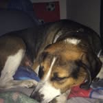 Leon Carey - @leoncarey09 - Instagram