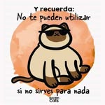 Héctor H Leon Caudillo - @leoncaudillo - Instagram
