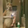 Celis Leon - @celis.leon - TikTok