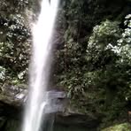 Leon Celis Nexar - Facebook