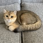 LeonChao - @leonchao.h - Instagram