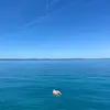 leonchillin - @leonchillin - TikTok