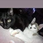leon 💙 M.Clara 💗 Frederico 💙 - @leon_clarinha - Instagram