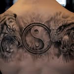 Leon Colon - @leon.colomer - Instagram