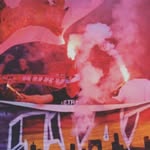 Leon - @leon_colonia48 - Instagram