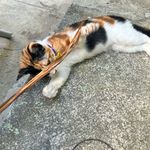 @leon_colvin10 - Instagram