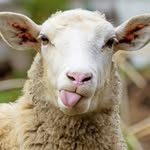 @_leon_connor_187_ - Instagram