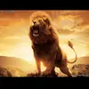 CORDERO Y LEON - @cordero_leon - TikTok