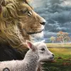 Cordero y Leon 🐑 🦁🛐 - @corderoyleon01 - TikTok