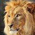 Leon Cortes - Facebook