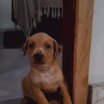@leoncosta821 - Instagram