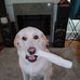 Leon Couch - Facebook