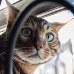 Leon Couch - @bengalboy369 - Instagram