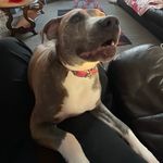 Leon Crofts - @leon.crofts - Instagram