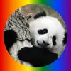 Leo Danziger - @leo.danziger - TikTok