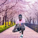 Darbo Lion - Facebook