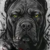 Leon Deutschland - @leon.deutschland6 - TikTok