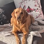 Leon devlin - @leondevlin8 - Instagram