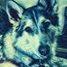 Leon DeWitt - Facebook