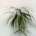 Leon Donner - @leon_donsner - Instagram