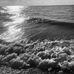 Leon Dowd - Facebook