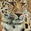 leondowd207 - @leondowd207 - TikTok