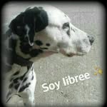 Pedro Leon Duran - @leonduranpedro - Instagram