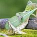 Leon Eckert - Facebook