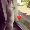 leoneckert118 - @leoneckert118 - TikTok