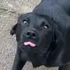 Dermitfollower20 - @leon.engel1 - TikTok
